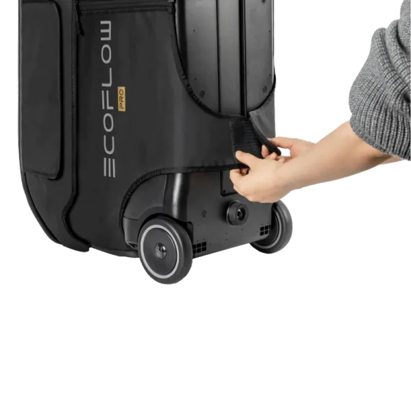 EcoFlow DELTA Pro Bag Сумка