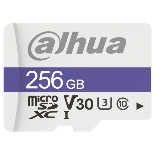 Dahua DHI-TF-C100/256GB Карта пам'яті microSD