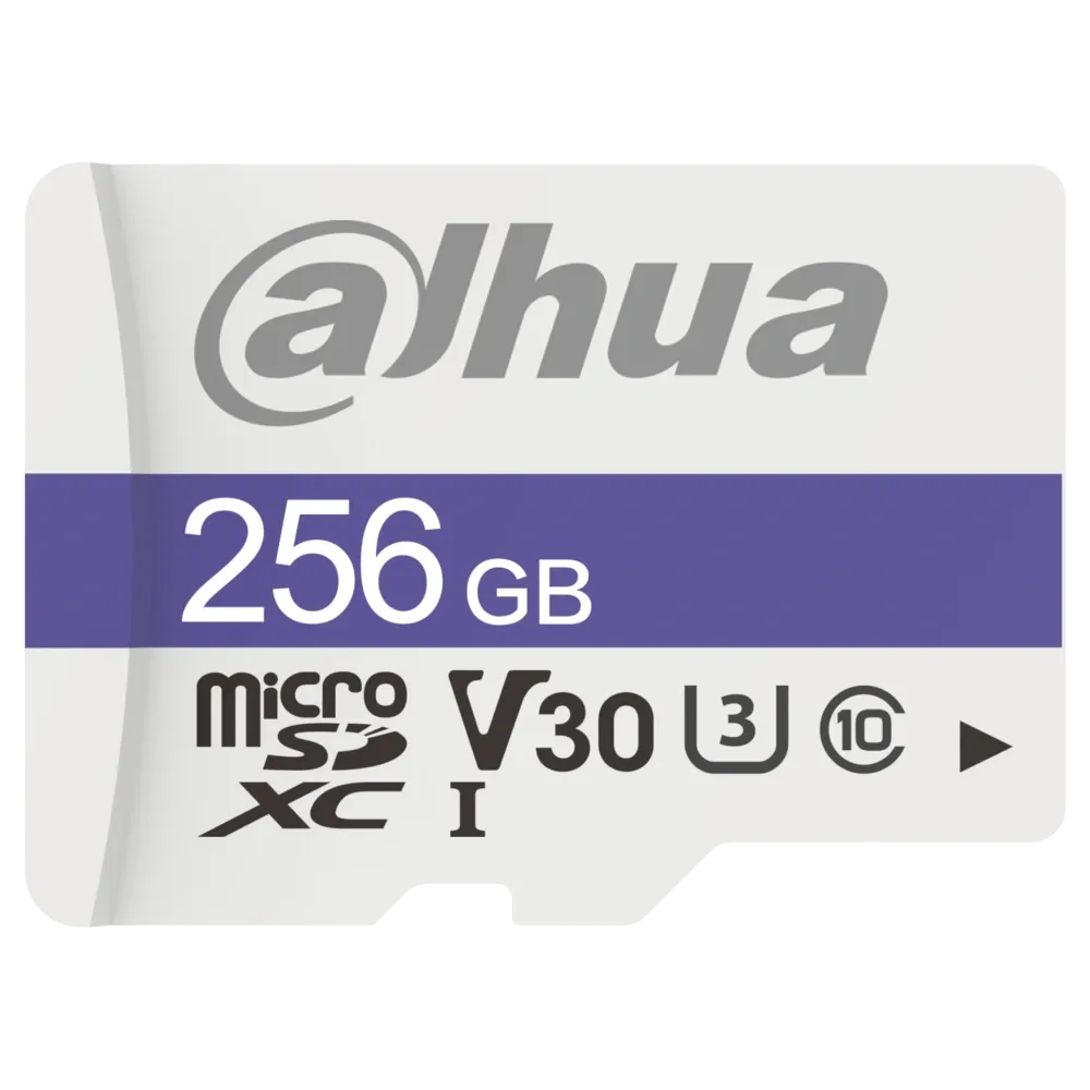 Dahua DHI-TF-C100/256GB Карта пам'яті microSD